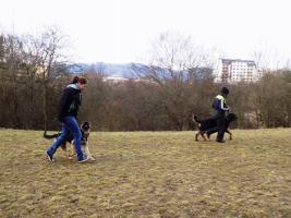 obrázek: tn_11.jpg; rozlišení: 267 × 200 px; velikost 10 kb;