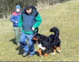 obrázek: tn_04.jpg; rozlišení: 255 × 200 px; velikost 13 kb;