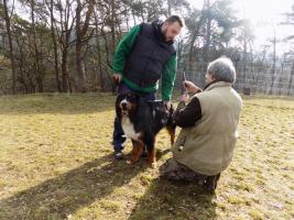 obrázek: tn_13.jpg; rozlišení: 267 × 200 px; velikost 14 kb;