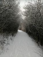 obrázek: tn_3.jpg; rozlišení: 150 × 200 px; velikost 7 kb;