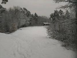 obrázek: tn_5.jpg; rozlišení: 267 × 200 px; velikost 8 kb;