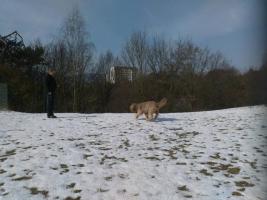 obrázek: tn_41.jpg; rozlišení: 267 × 200 px; velikost 9 kb;