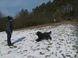 obrázek: tn_44.jpg; rozlišení: 267 × 200 px; velikost 11 kb;
