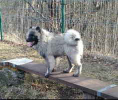 obrázek: tn_21.jpg; rozlišení: 237 × 200 px; velikost 15 kb;