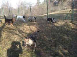 obrázek: tn_26.jpg; rozlišení: 267 × 200 px; velikost 12 kb;