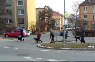 obrázek: tn_801.jpg; rozlišení: 305 × 200 px; velikost 13 kb;