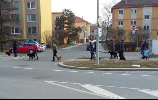 obrázek: tn_802.jpg; rozlišení: 316 × 200 px; velikost 12 kb;