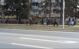 obrázek: tn_803.jpg; rozlišení: 322 × 200 px; velikost 13 kb;