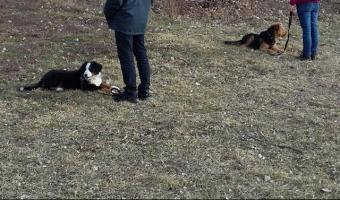 obrázek: tn_804.jpg; rozlišení: 340 × 200 px; velikost 20 kb;