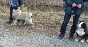 obrázek: tn_815.jpg; rozlišení: 375 × 200 px; velikost 22 kb;